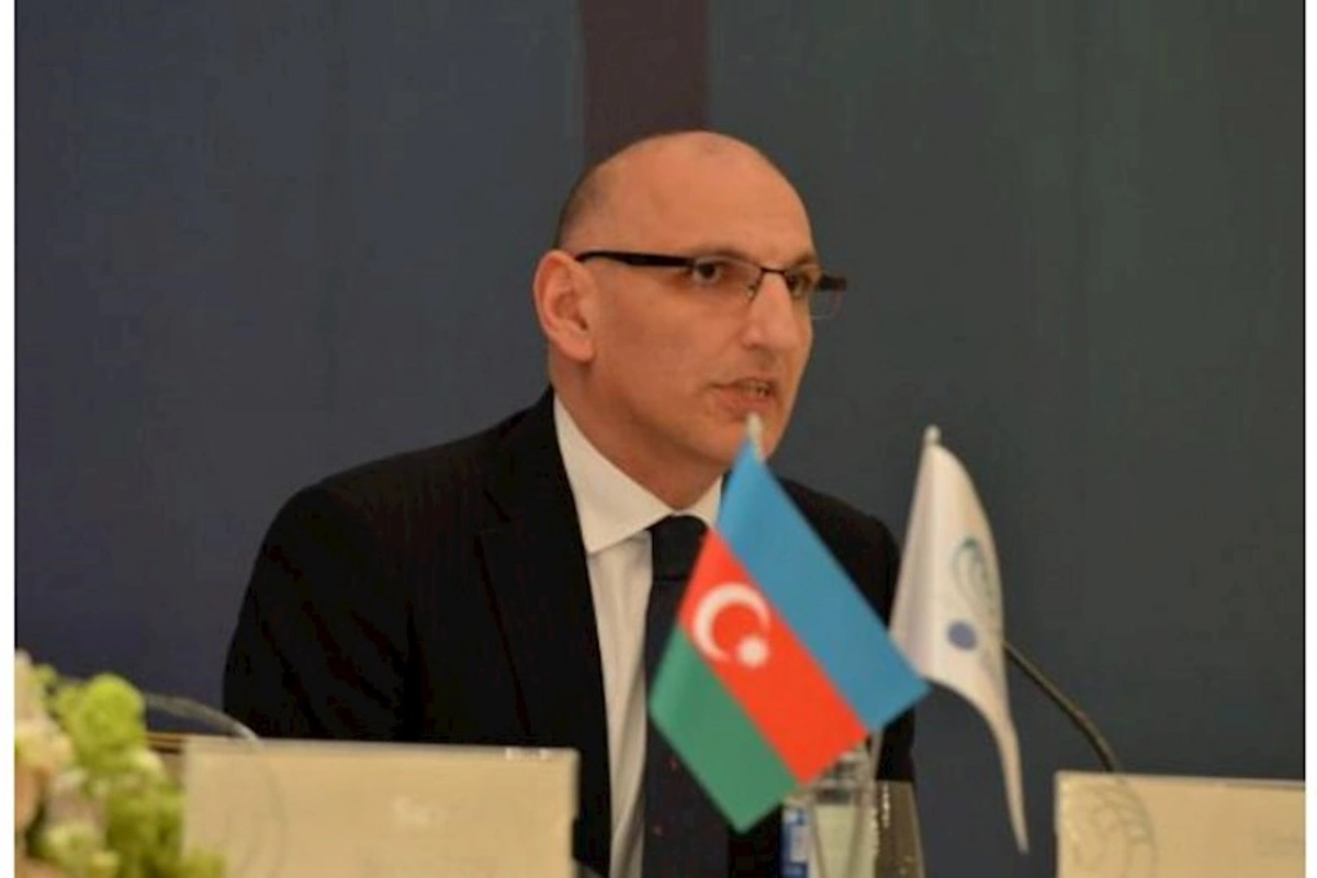 Elçin Əmirbəyov “France 24” telekanalına müsahibə verib — VİDEO