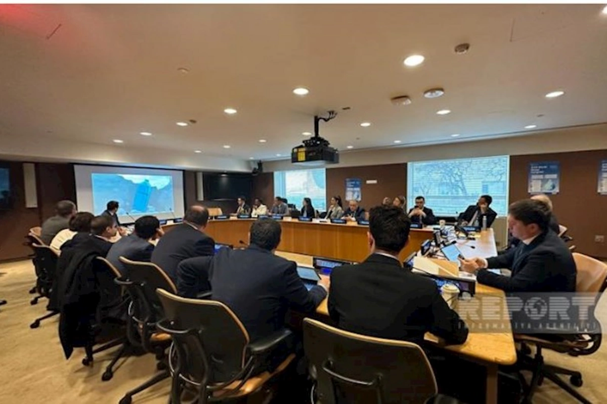 Azərbaycanla BMT arasında qlobal iqlim dəyişikliyi, gələcək əməkdaşlıq müzakirə olunub