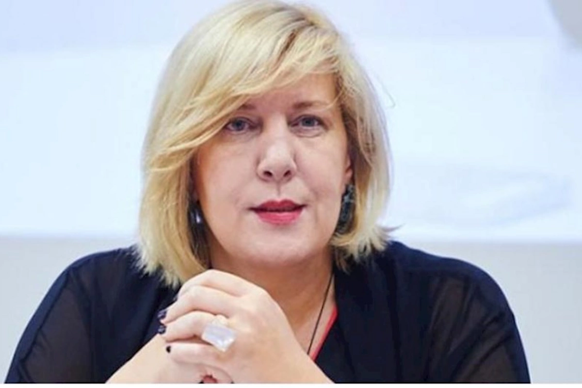 “Fransadakı aksiyalarda zorakılıq olub, həbslərdən narahatıq”