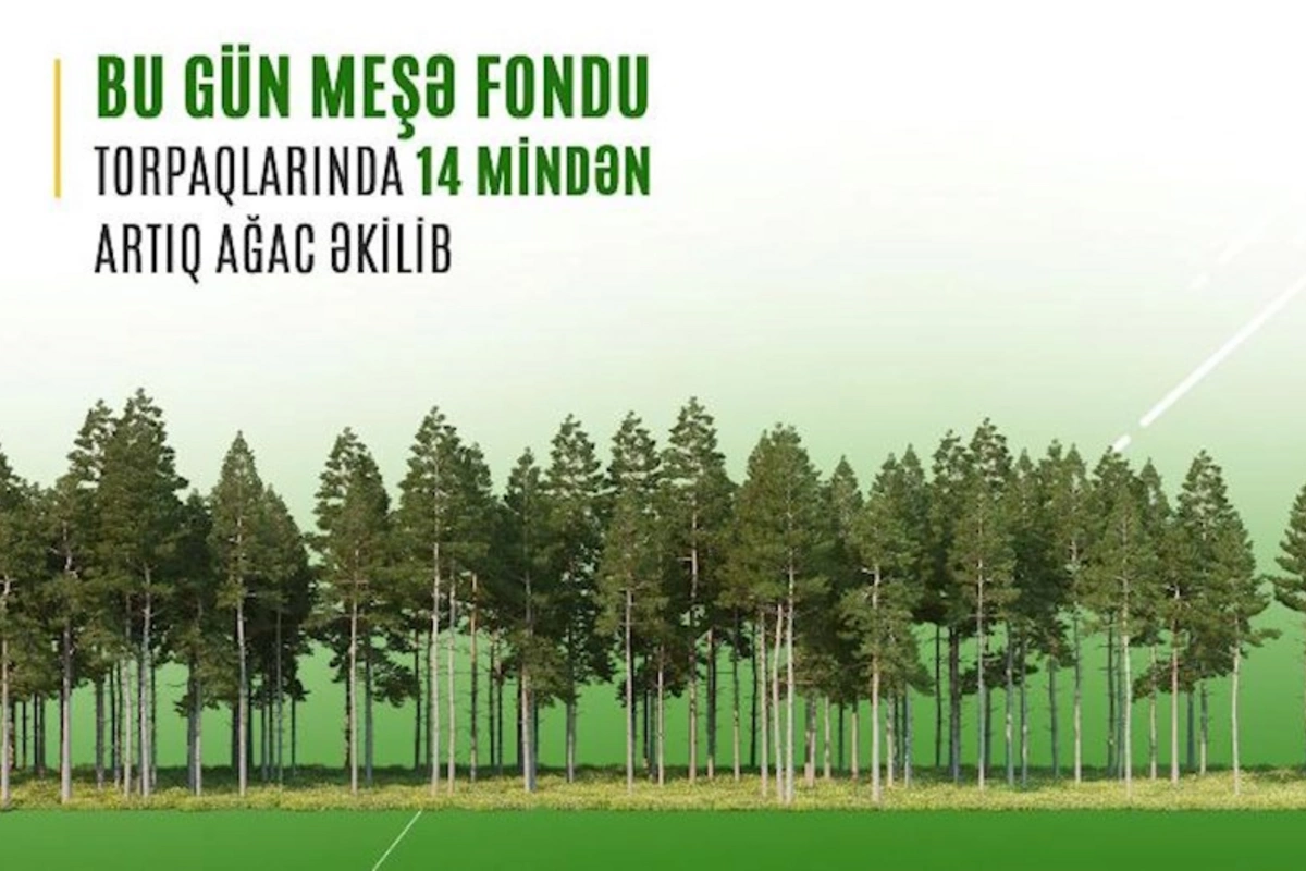 Bu gün meşə fondu torpaqlarında 14 mindən artıq ağac əkilib