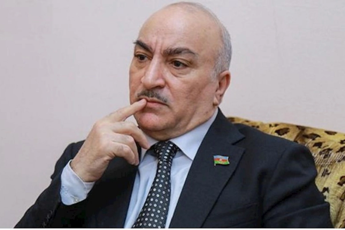 Küçə itlərini yığın, Koreyaya, Çinə satın — Tahir Kərimli
