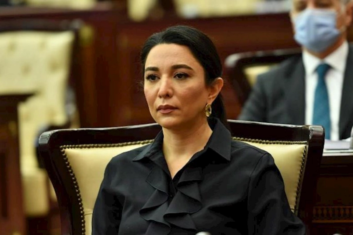 Ombudsmanın səfirliyimizə hücumla bağlı BƏYANATI