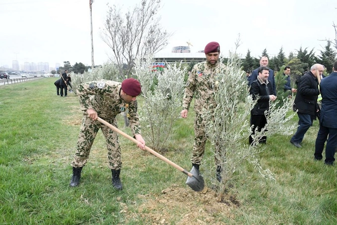Abşeron rayonunda “Heydər Əliyev İli” çərçivəsində ağacəkmə aksiyası keçirilib — FOTOLAR