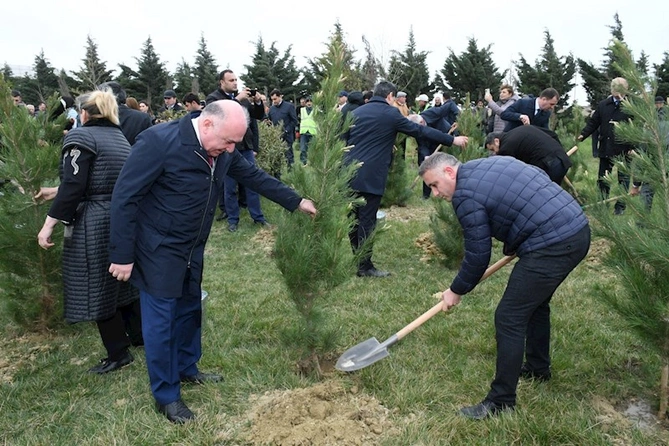 Abşeron rayonunda “Heydər Əliyev İli” çərçivəsində ağacəkmə aksiyası keçirilib — FOTOLAR