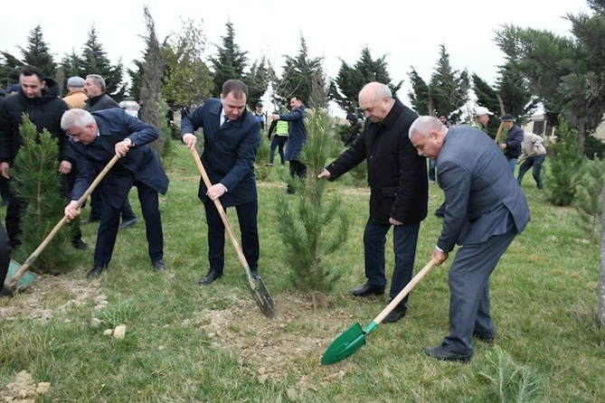 Abşeron rayonunda “Heydər Əliyev İli” çərçivəsində ağacəkmə aksiyası keçirilib — FOTOLAR