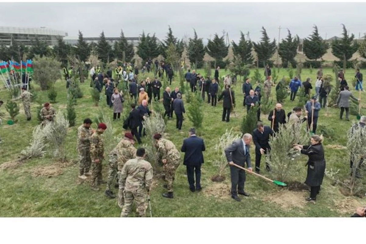 Abşeron rayonunda “Heydər Əliyev İli” çərçivəsində ağacəkmə aksiyası keçirilib — FOTOLAR