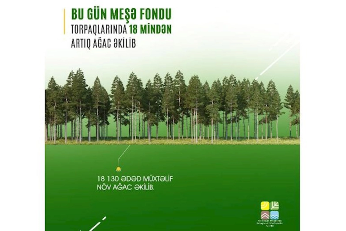Bu gün meşə fondu torpaqlarında 18 mindən çox ağac əkilib