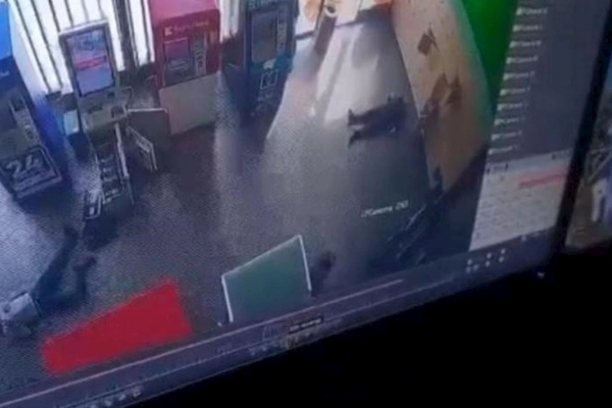 Hipermarketdəki silahlı insidentlə bağlı daha 3 nəfər həbs edildi