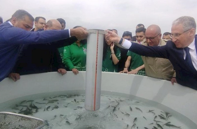 Ağdam rayonunda Xaçınçay su anbarına balıq körpələri buraxıldı Ağdam rayonunda Xaçınçay su anbarına balıq körpələri buraxıldı