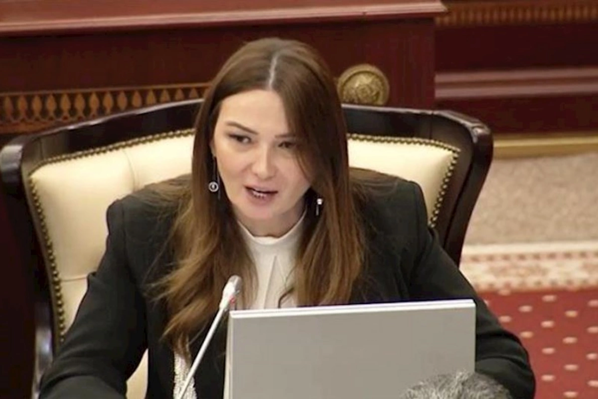 Qənirə Paşayeva: “Dərmanların gətirilməsindəki inhisarçılığa son qoyulmalıdır”