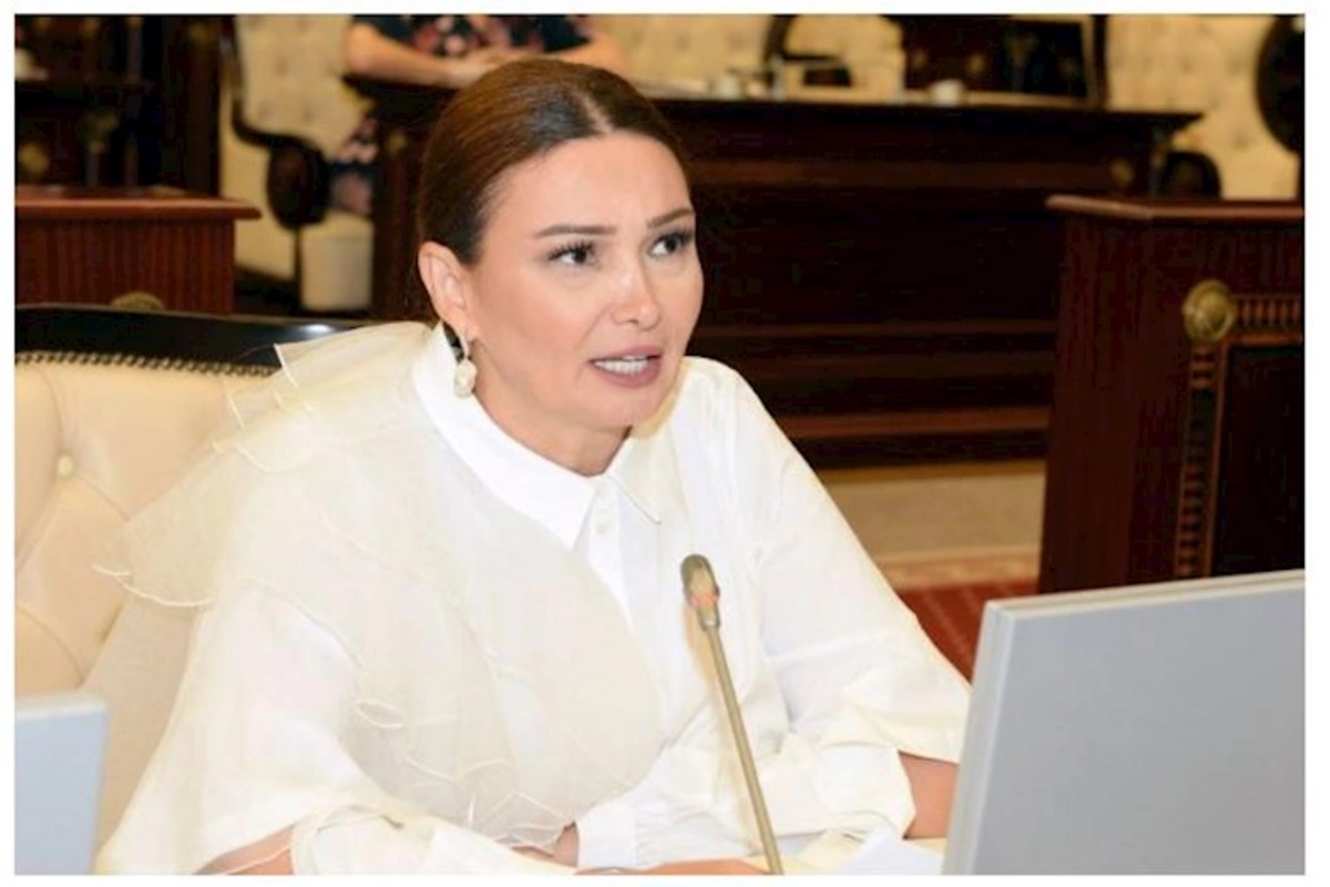 Qənirə Paşayeva deputatları maaşlarının 1 hissəsini YAŞAT Fonduna ianə etməyə çağırdı