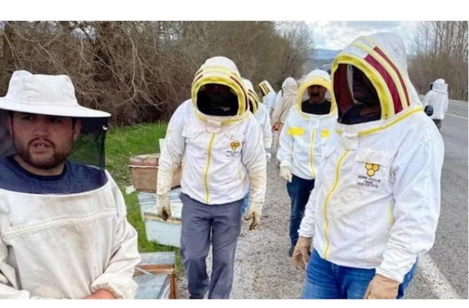 Arılarla dolu yük maşını aşdı — FOTO