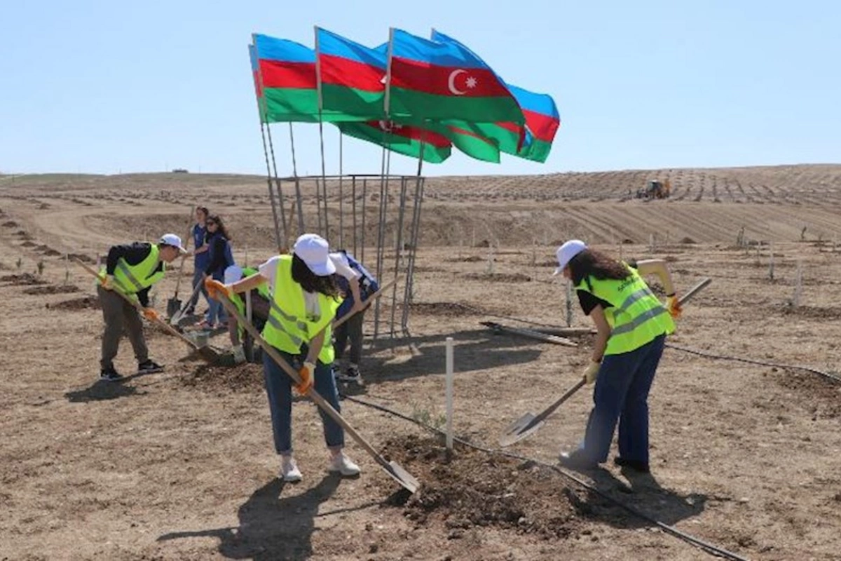 Heydər Əliyevin 100 illik yubileyi ilə əlaqədar növbəti ağacəkmə tədbirləri keçirildi — FOTO