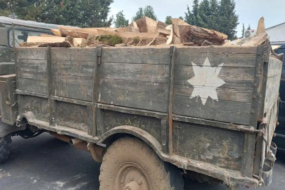 Astarada “Qırmızı kitab”a daxil olan bitkiləri kəsiblər — FOTO