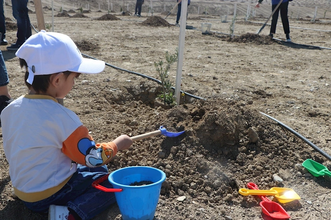 Heydər Əliyevin 100 illik yubileyi ilə əlaqədar növbəti ağacəkmə tədbirləri keçirildi — FOTO