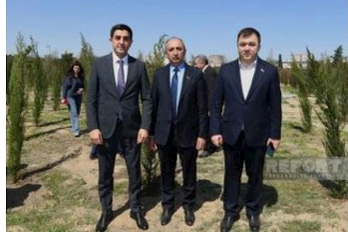 Qərbi Azərbaycan İcması Heydər Əliyevin 100 illiyi ilə əlaqədar ağacəkmə kampaniyası keçirib — FOTOLAR