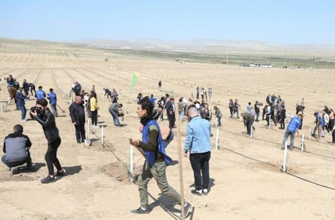 Media nümayəndələri Heydər Əliyevin 100 illik yubileyinə həsr olunmuş ağacəkmə aksiyasında — FOTOLAR