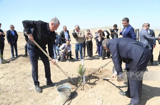 Media nümayəndələri Heydər Əliyevin 100 illik yubileyinə həsr olunmuş ağacəkmə aksiyasında — FOTOLAR