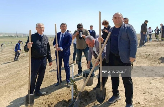 Media nümayəndələri Heydər Əliyevin 100 illik yubileyinə həsr olunmuş ağacəkmə aksiyasında — FOTOLAR