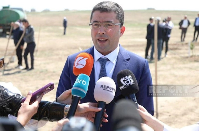 Media nümayəndələri Heydər Əliyevin 100 illik yubileyinə həsr olunmuş ağacəkmə aksiyasında — FOTOLAR