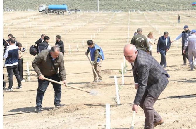 Media nümayəndələri Heydər Əliyevin 100 illik yubileyinə həsr olunmuş ağacəkmə aksiyasında — FOTOLAR