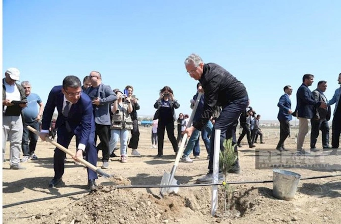 Media nümayəndələri Heydər Əliyevin 100 illik yubileyinə həsr olunmuş ağacəkmə aksiyasında — FOTOLAR