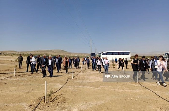 Media nümayəndələri Heydər Əliyevin 100 illik yubileyinə həsr olunmuş ağacəkmə aksiyasında — FOTOLAR