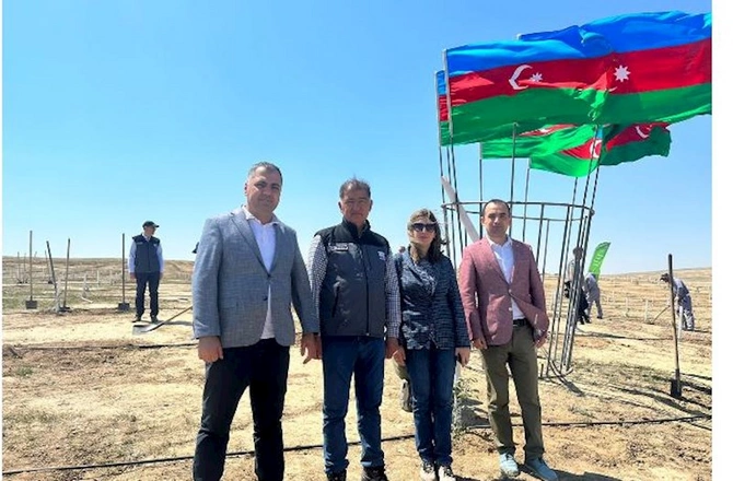 Media nümayəndələri Heydər Əliyevin 100 illik yubileyinə həsr olunmuş ağacəkmə aksiyasında — FOTOLAR