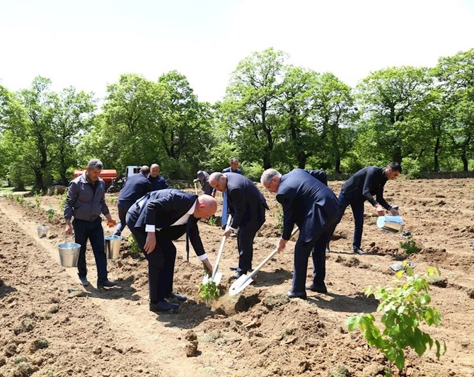 Növbəti ağacəkmə aksiyası və balıq buraxılışı tədbirləri keçirilib — FOTOLAR Növbəti ağacəkmə aksiyası və balıq buraxılışı tədbirləri keçirilib — FOTOLAR