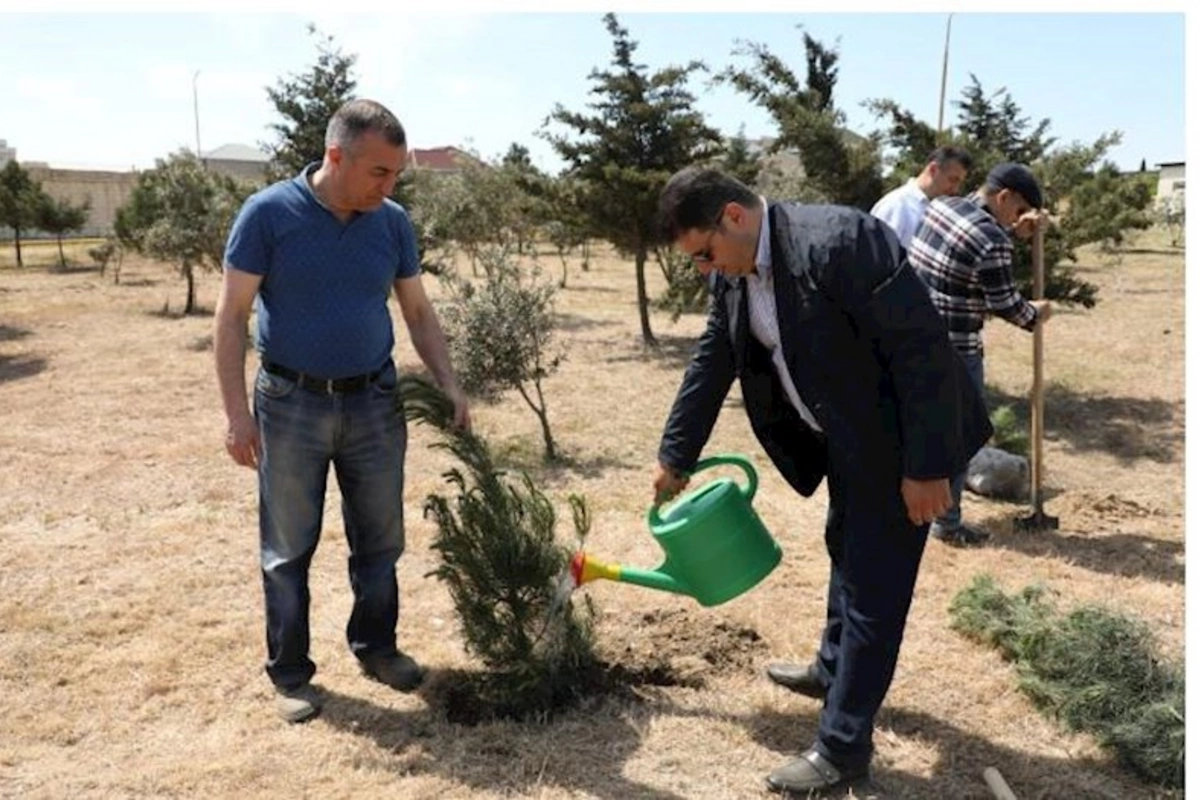 Heydər Əliyevin 100 illiyinə həsr olunan ağacəkmə aksiyası keçirilib — FOTOLAR