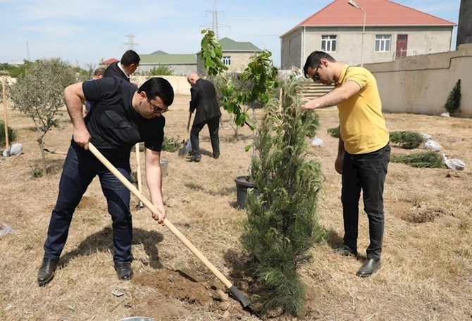 Heydər Əliyevin 100 illiyinə həsr olunan ağacəkmə aksiyası keçirilib — FOTOLAR