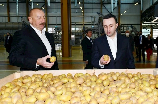 İlham Əliyev və İrakli Qaribaşvili Qəbələ Qida Şəhərciyində — FOTOLAR