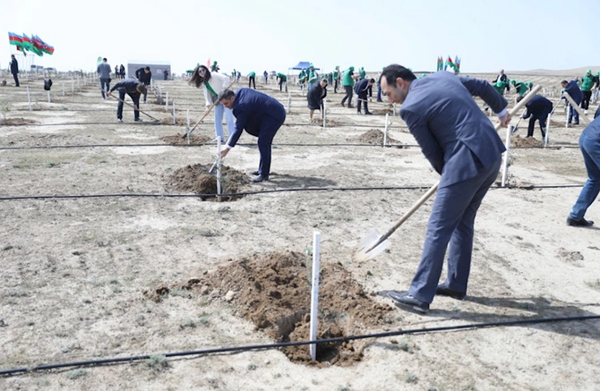 Heydər Əliyevin 100 illik yubileyi ilə əlaqədar növbəti ağacəkmə tədbirləri keçirilib