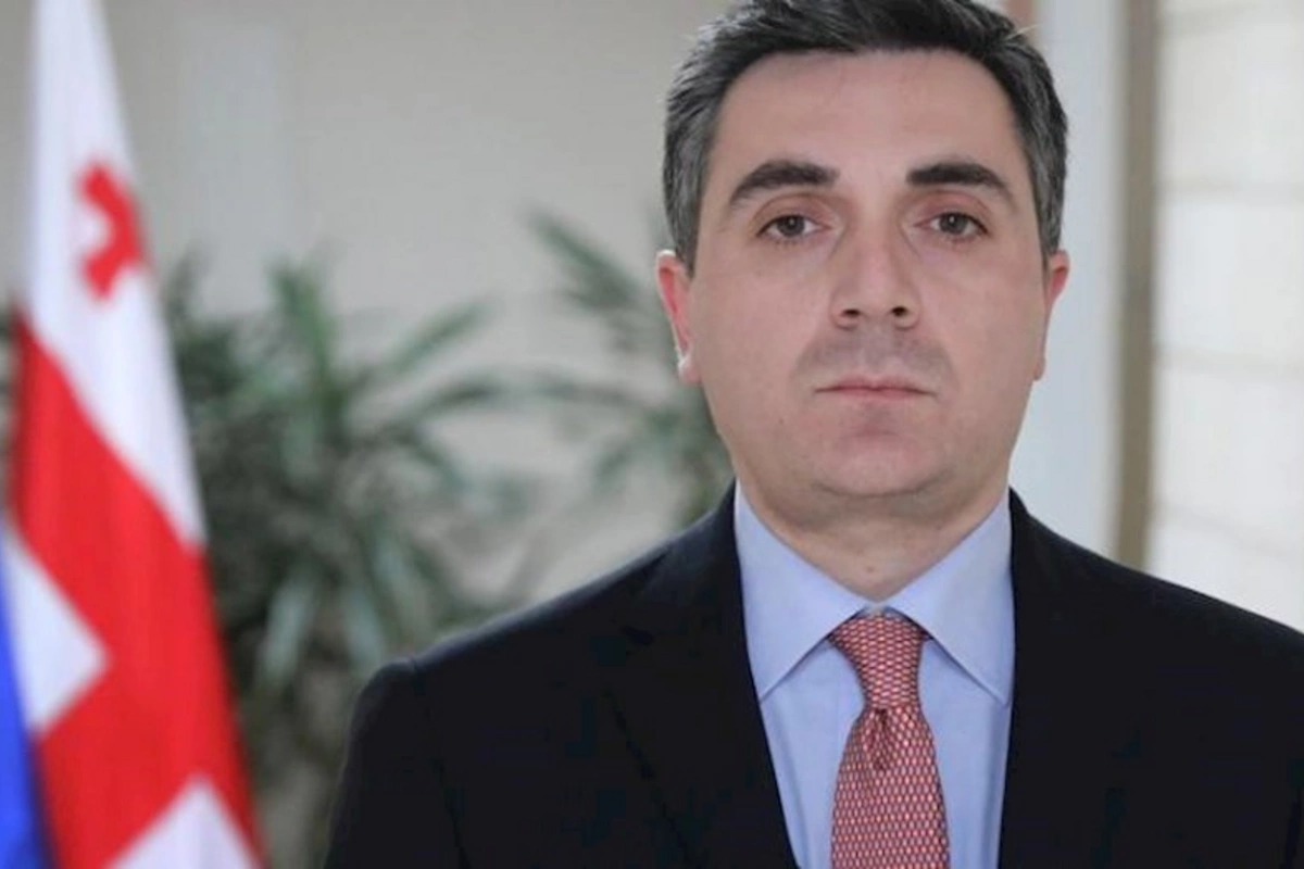 Gürcüstan XİN başçısı Rusiyanın viza rejiminin ləğvi qərarını alqışlayıb