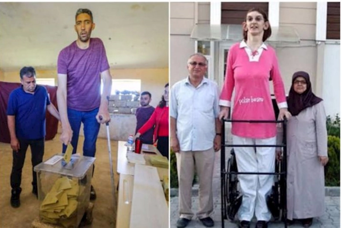 Türkiyədə dünyanın ən uzunboylu insanları səs verdilər — VİDEO