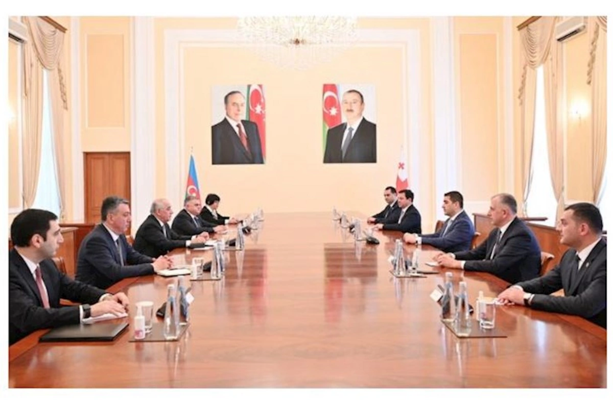Əli Əsədov Gürcüstan parlamentinin sədri ilə görüşüb
