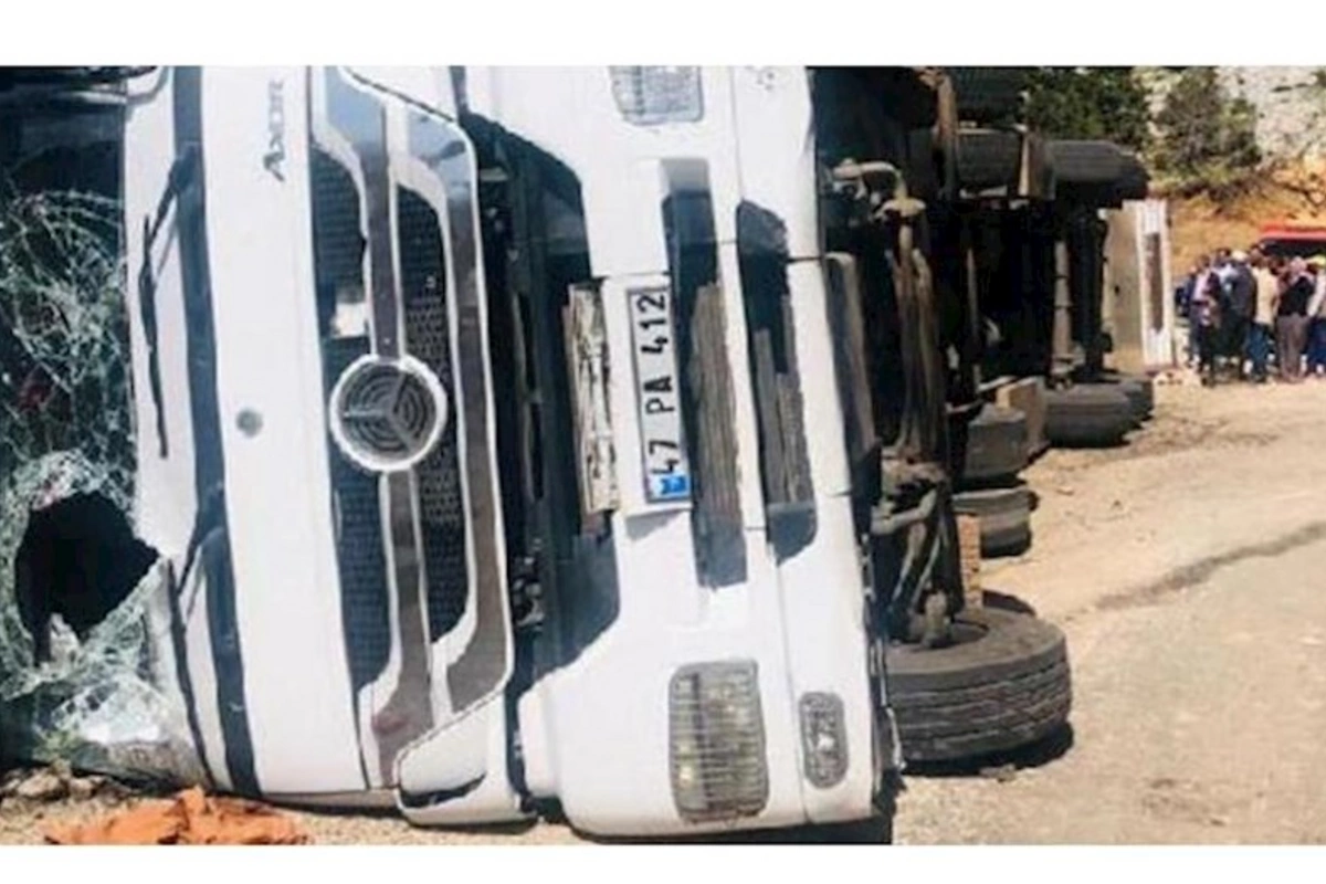 Yük maşınının aşması nəticəsində onlarla heyvan tələf oldu