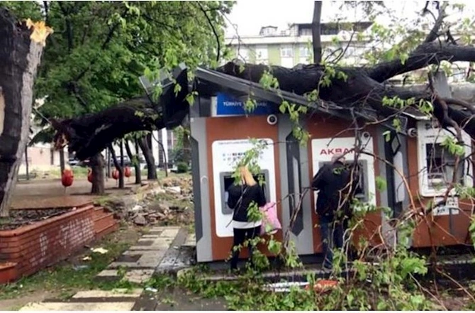 İnsanlar üzərinə ağac aşan zaman bankomatlardan pul çıxardılar — FOTO
