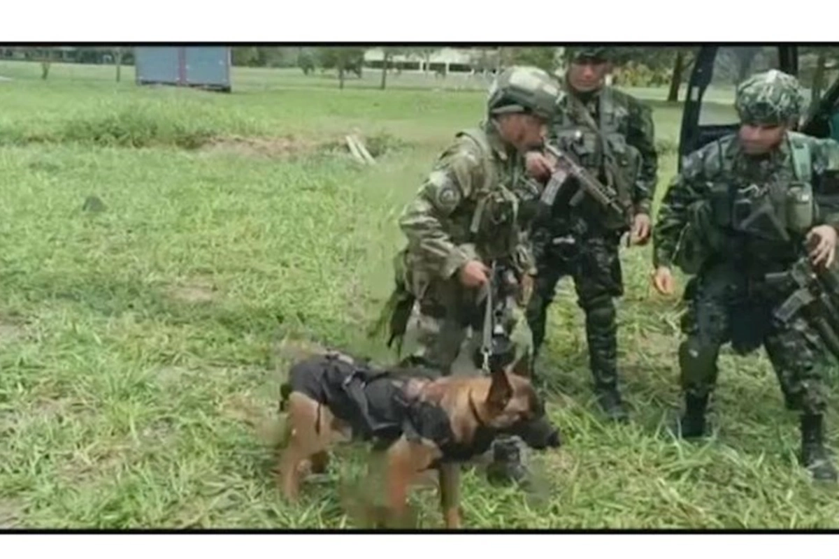 Təyyarə qəzasında itən 4 uşaq iki həftə sonra tapıldı
