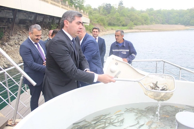 Növbəti ağacəkmə aksiyası və balıq buraxılışı tədbiri keçirilib — FOTOLAR Növbəti ağacəkmə aksiyası və balıq buraxılışı tədbiri keçirilib — FOTOLAR