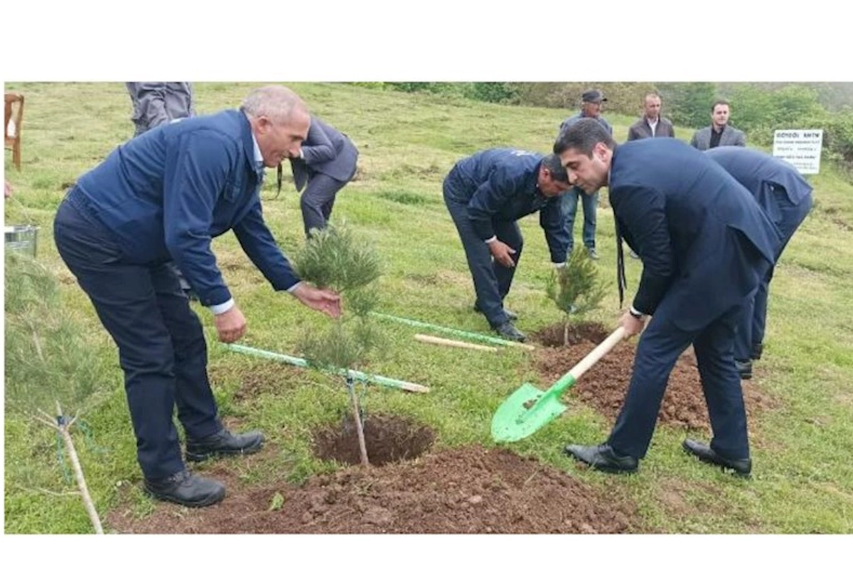 Növbəti ağacəkmə aksiyası və balıq buraxılışı tədbiri keçirilib — FOTOLAR