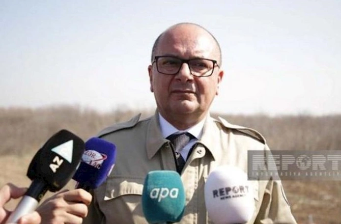 Azərbaycana daha 5 minaaxtaran it gətirildi — FOTO