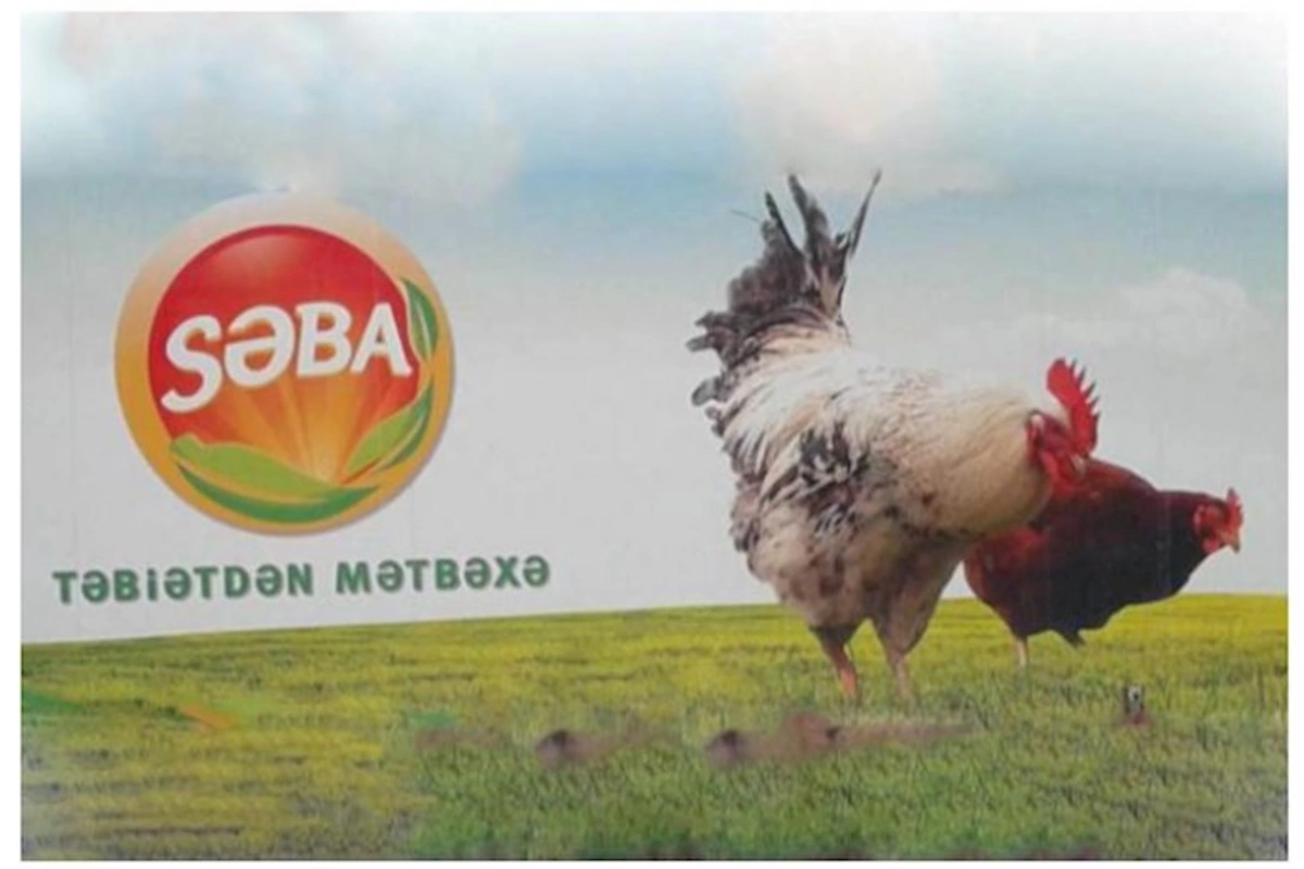 Səba” məhkəməyə verildi — SƏBƏB