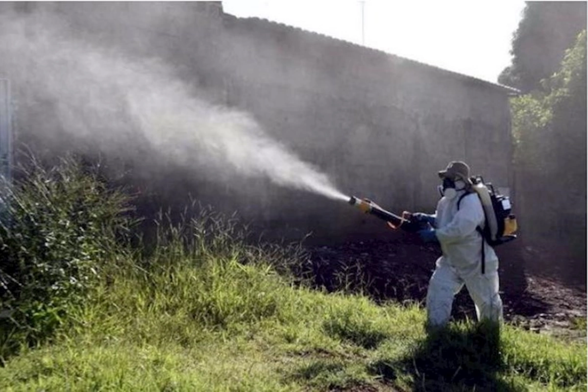 Argentinada epidemiya: 70 mindən çox yoluxma