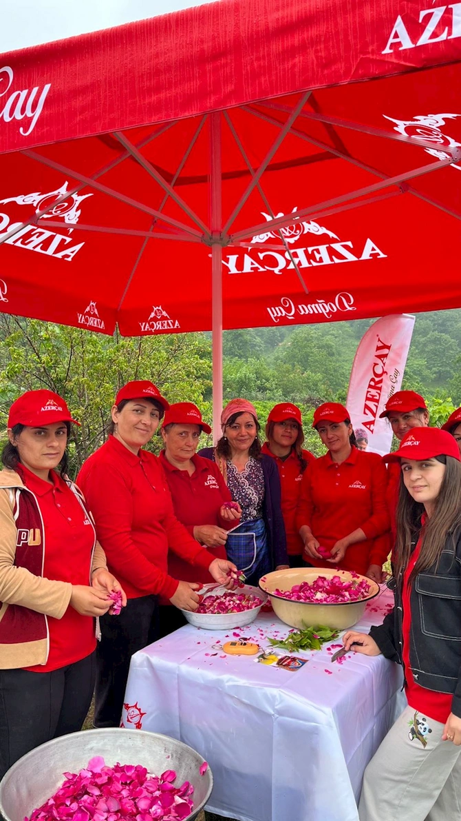 “Azerçay” Beynəlxaq Çay Günü münasibətilə silsilə tədbirlər həyata keçirib — FOTO