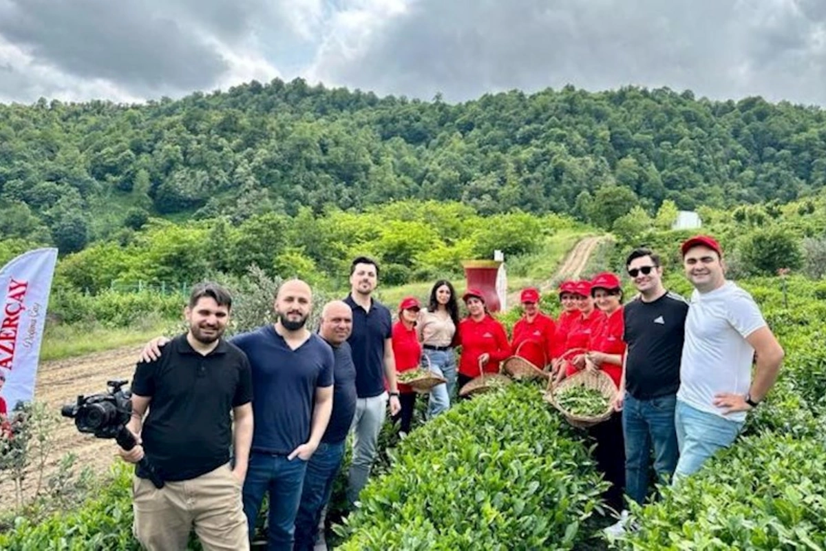 “Azerçay” Beynəlxaq Çay Günü münasibətilə silsilə tədbirlər həyata keçirib — FOTO