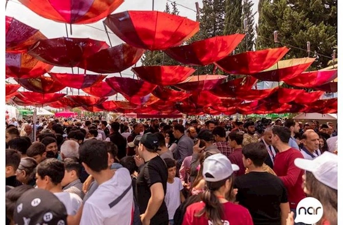 Nar Cəlilabad Festivalında iştirak etdi — FOTOLAR
