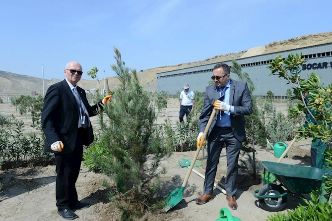 Heydər Əliyevin 100 illik yubileyi münasibətilə CEPI tərəfindən ağacəkmə kampaniyası keçirilib — FOTO