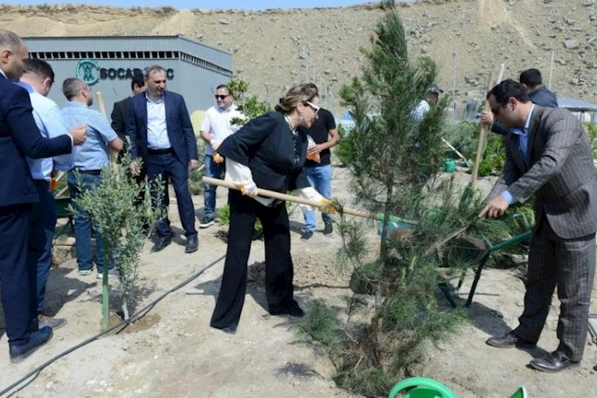 Heydər Əliyevin 100 illik yubileyi münasibətilə CEPI tərəfindən ağacəkmə kampaniyası keçirilib — FOTO