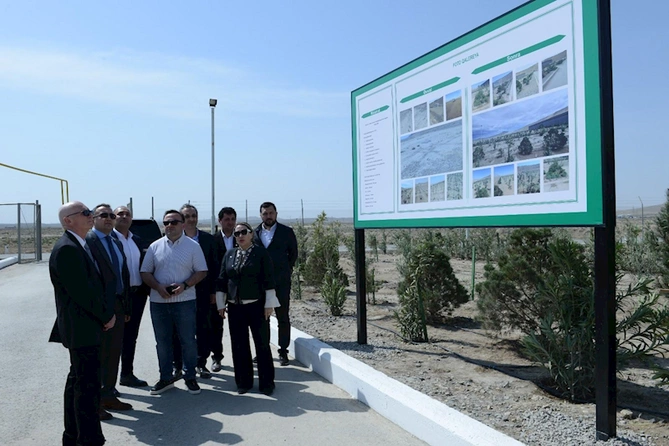 Heydər Əliyevin 100 illik yubileyi münasibətilə CEPI tərəfindən ağacəkmə kampaniyası keçirilib — FOTO